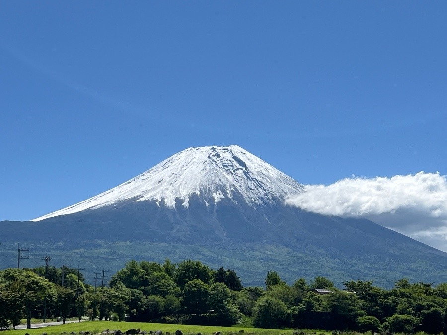 5月も終わるというのに