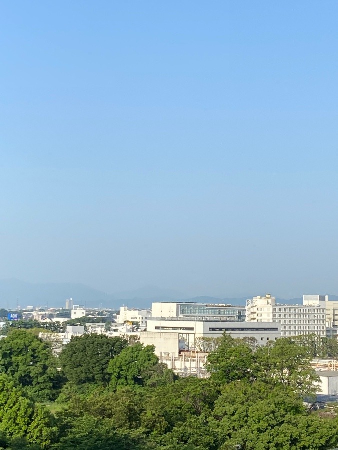 今朝の富士山