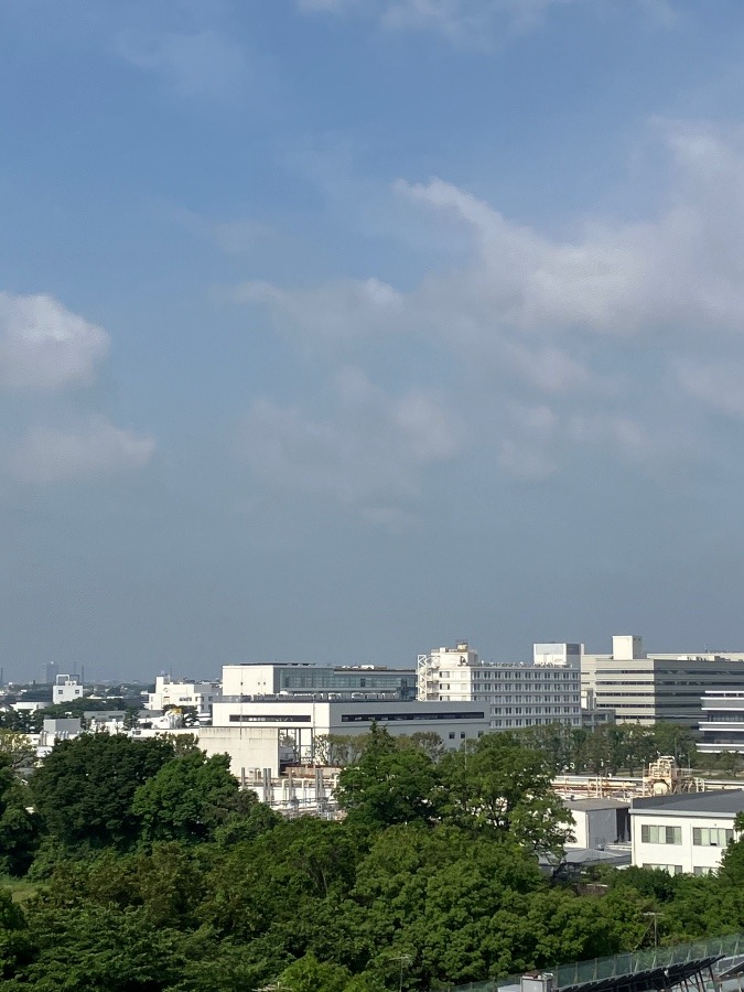 今朝の富士山