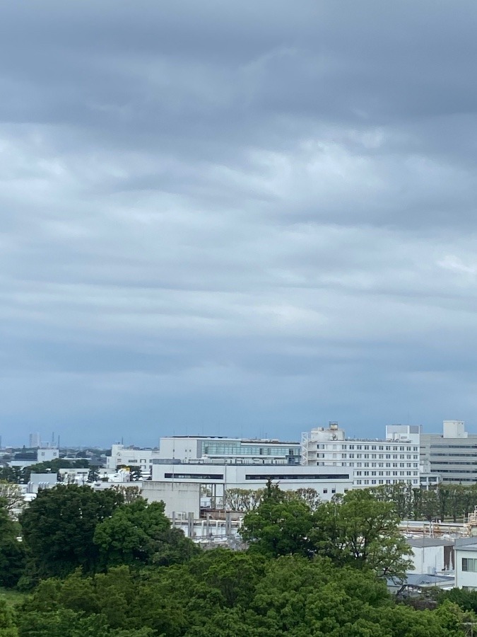 今朝の富士山