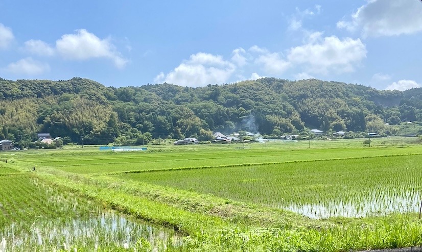 のどかな田園風景