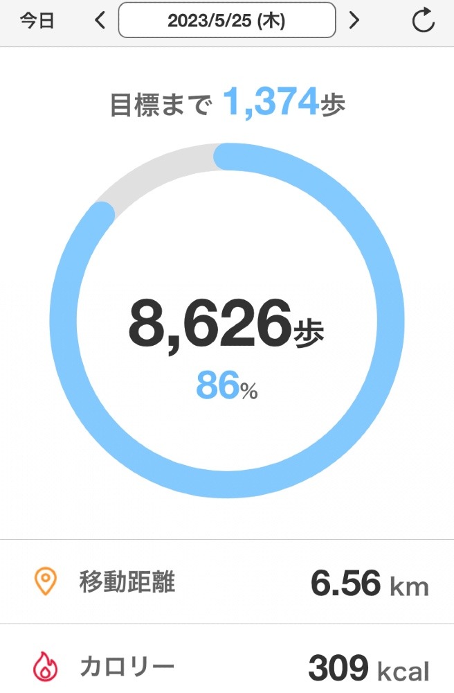 ☆ウォーキング部　部活報告☆