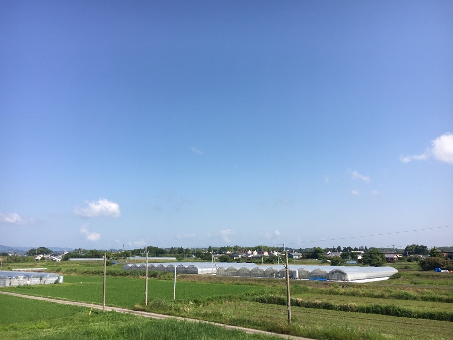 ⭕️空部→ 今日の空（≧∇≦）‼️616.