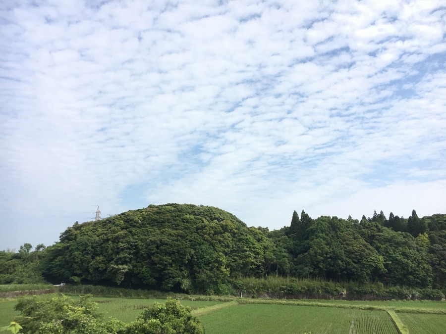 ⭕️空部→ 今日の空（≧∇≦）‼️591.