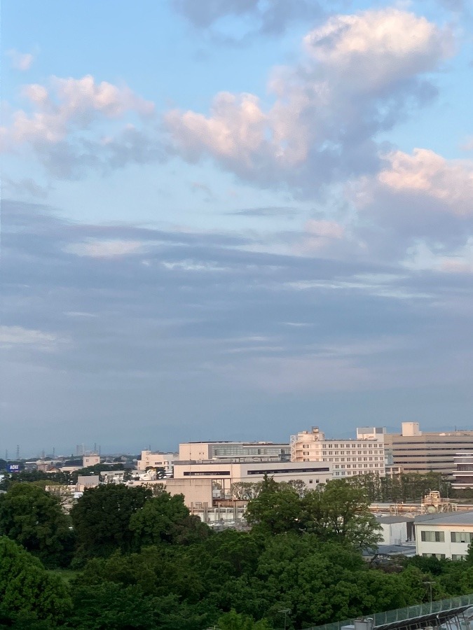 今朝の富士山