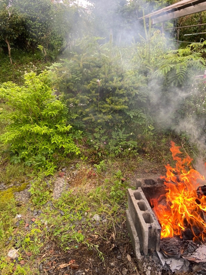 千葉の家の草取り＆燃やす