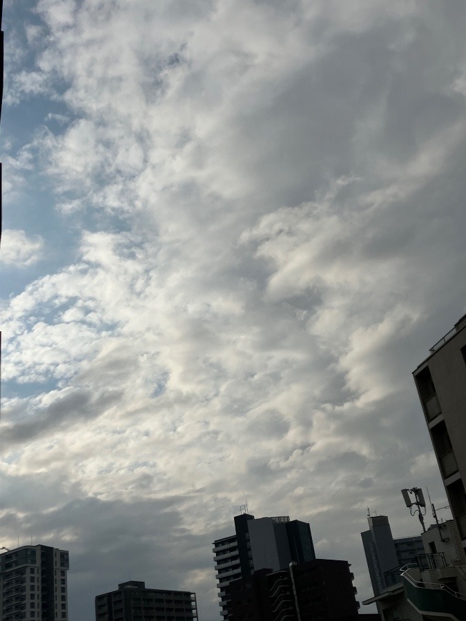 5/13 朝空