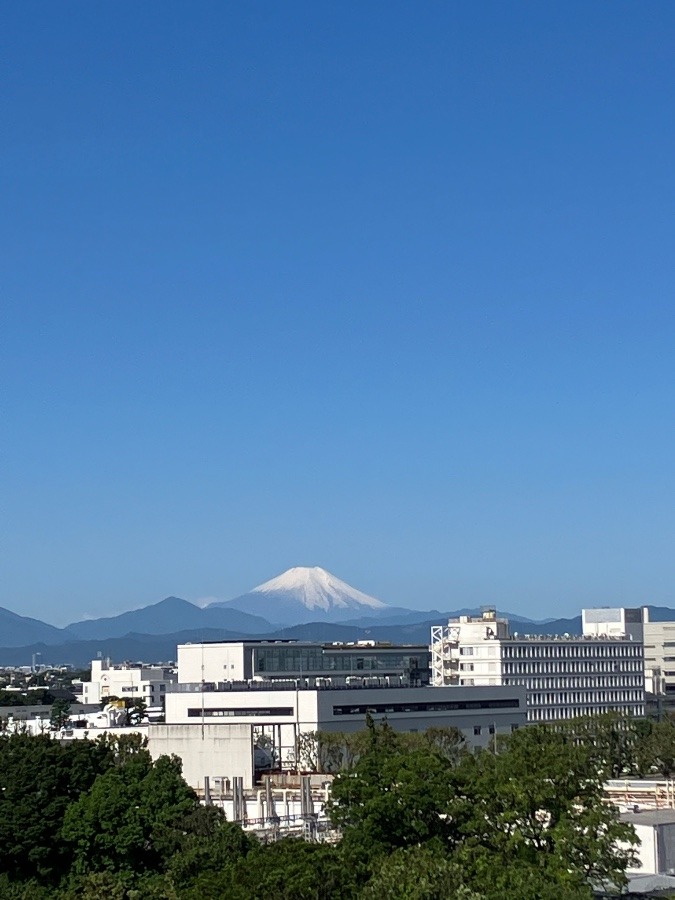 今朝の富士山-2-