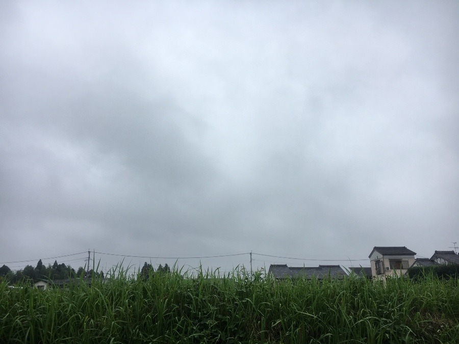 ⭕️空部→ 今日の空（≧∇≦）‼️648.