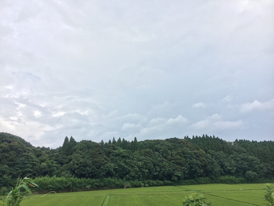 ⭕️空部→ 今日の空（≧∇≦）‼️674.