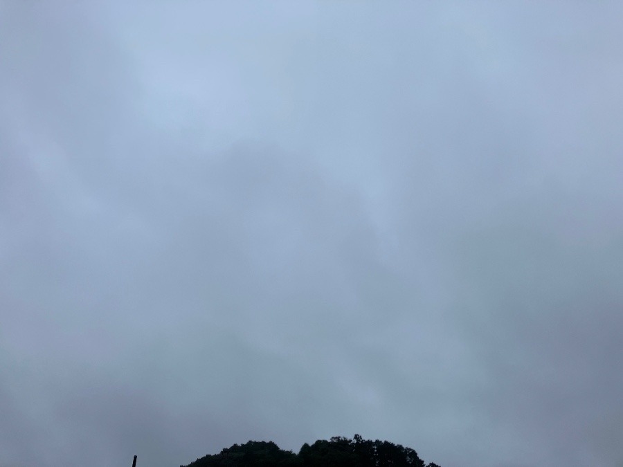 6/13 朝空