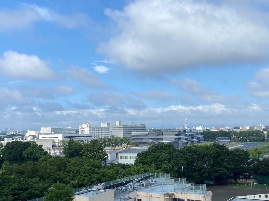 今朝の富士山