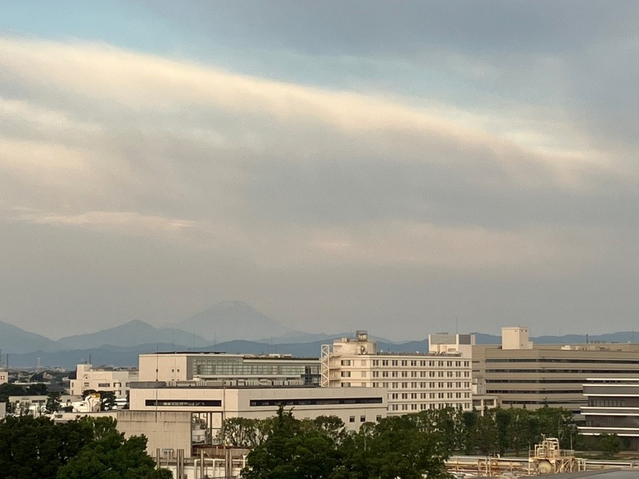 今朝の富士山