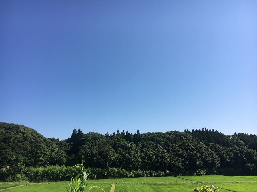 ⭕️空部→ 今日の空（≧∇≦）‼️660.