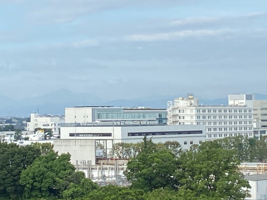 今朝の富士山