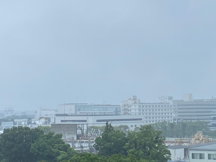 今朝の富士山