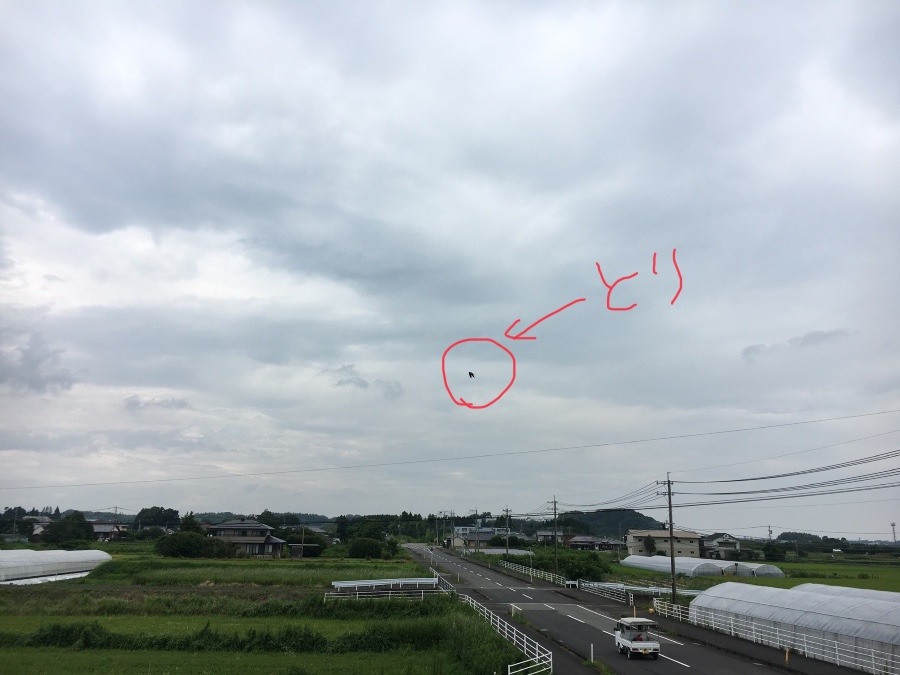 ⭕️空部→ 今日の空（≧∇≦）‼️673.