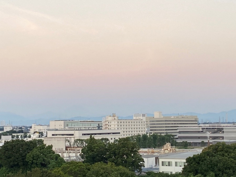 今朝の富士山