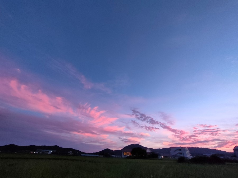 今日もお疲れ様でした✨