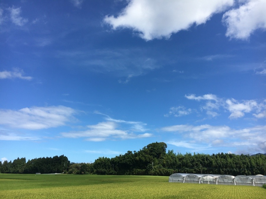 ⭕️空部→ 今日の空（≧∇≦）‼️708.