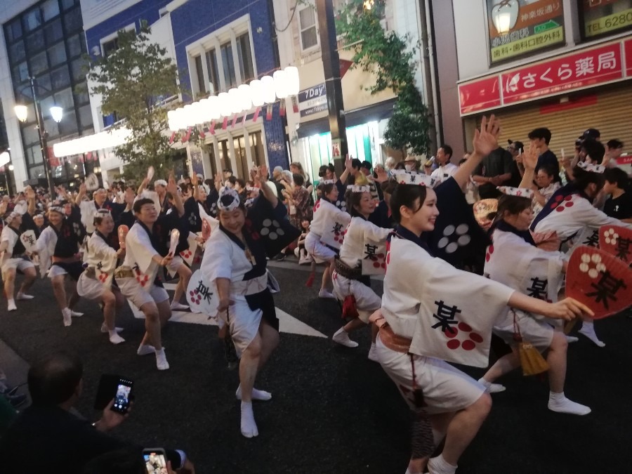 阿波踊り　男踊り