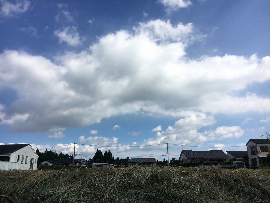 ⭕️空部→ 今日の空（≧∇≦）‼️698.