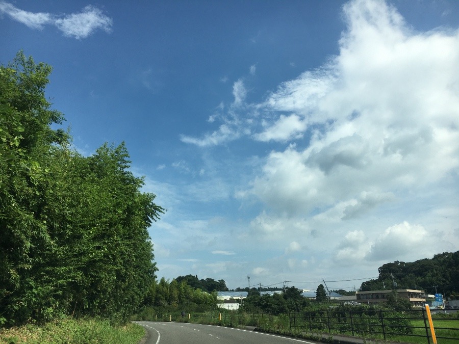 ⭕️空部→ 午前中、今日の空（≧∇≦）‼️719.