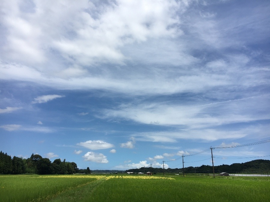 ⭕️空部→ 今日の空（≧∇≦）‼️706.