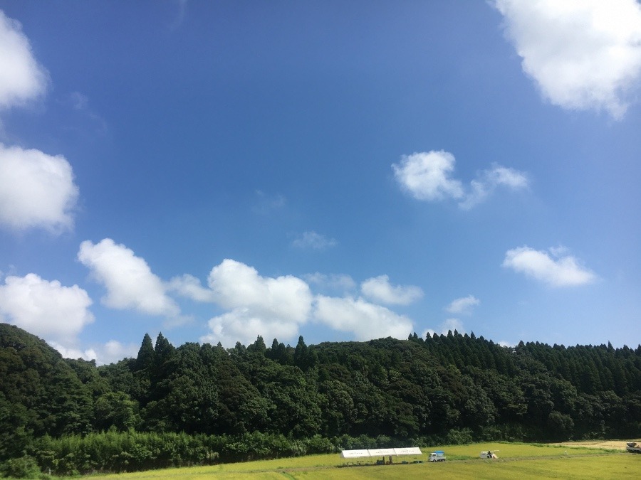 ⭕️空部→ 午前中、今日の空（≧∇≦）‼️724.