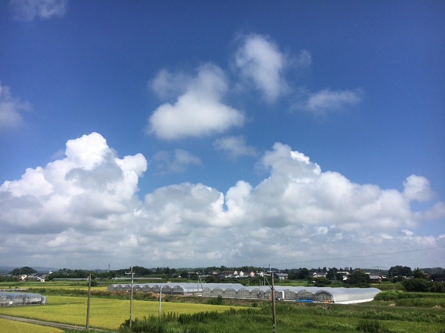 ⭕️空部→ 午前中、今日の空（≧∇≦）‼️725.