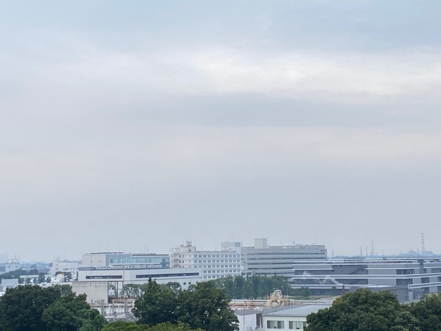 今朝の富士山