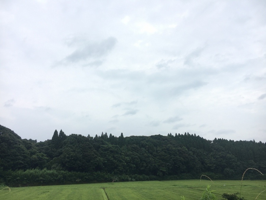 ⭕️空部→ 今日の空（≧∇≦）‼️690.