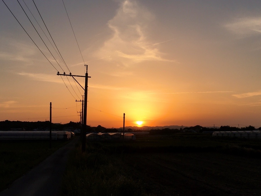 ⭕️ 夕焼け、😄