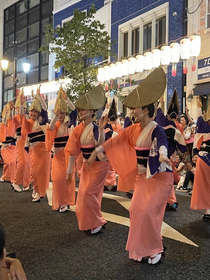 神楽坂祭り/阿波踊り❶