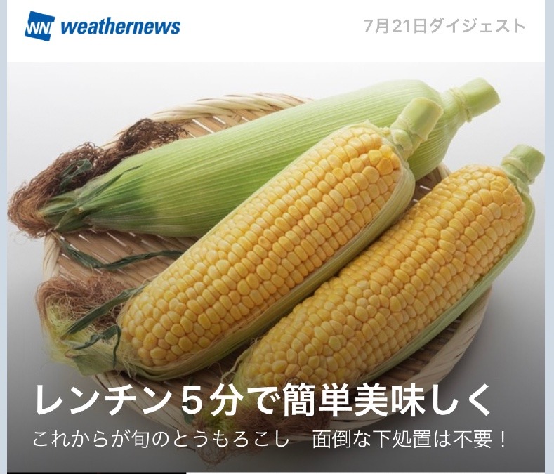 トウモロコシ🌽