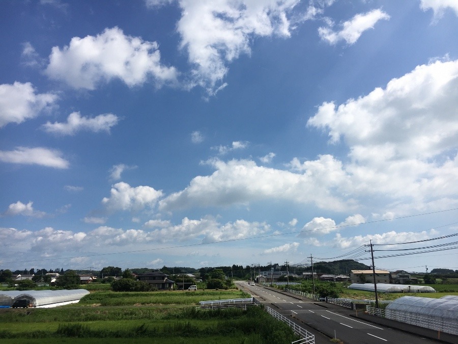 ⭕️空部→ 今日の空（≧∇≦）‼️699.