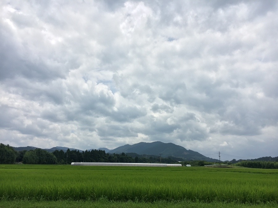 ⭕️空部→ 今日の空（≧∇≦）‼️694.