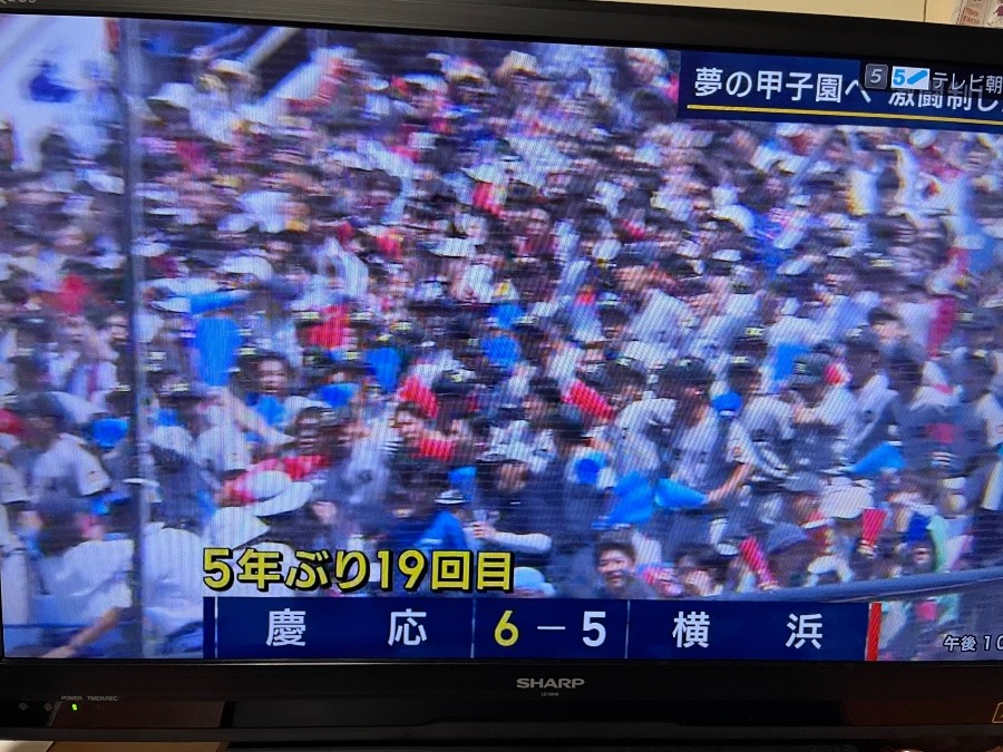 第１０５全国高等学校野球選手権記念神奈川大会決勝