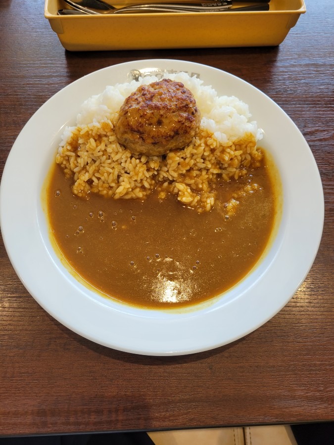 CoCo壱大井川店でランチ