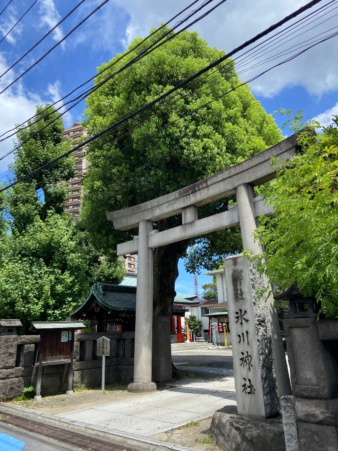 麻布氷川神社参拝