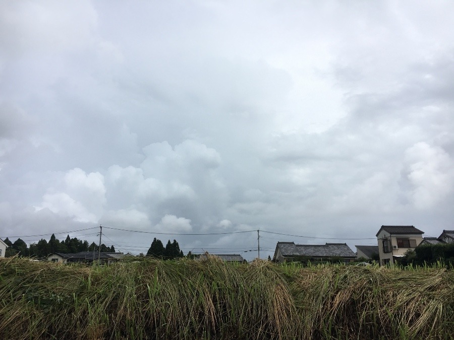 ⭕️空部→ 今日の空（≧∇≦）‼️734.