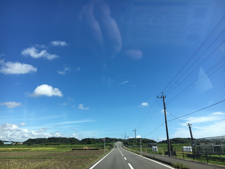 ⭕️空部→ 今日の空（≧∇≦）‼️782.