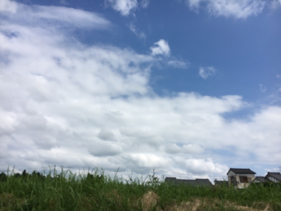 ⭕️空部→ 今日の空（≧∇≦）‼️771.