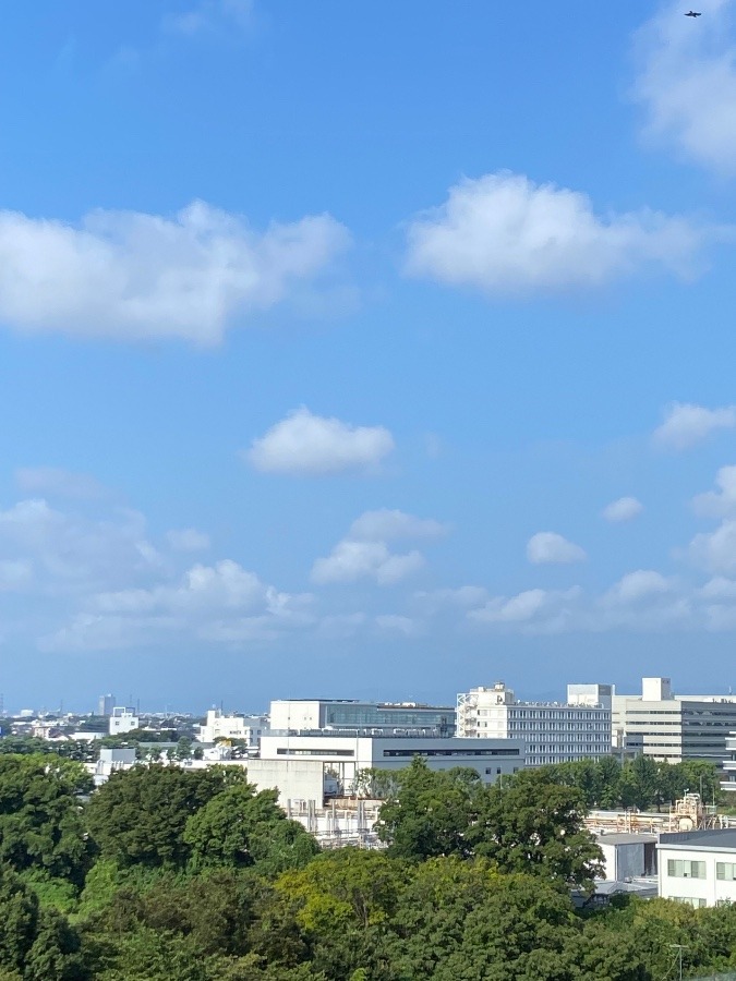 今朝の富士山