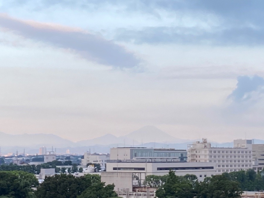 今朝の富士山