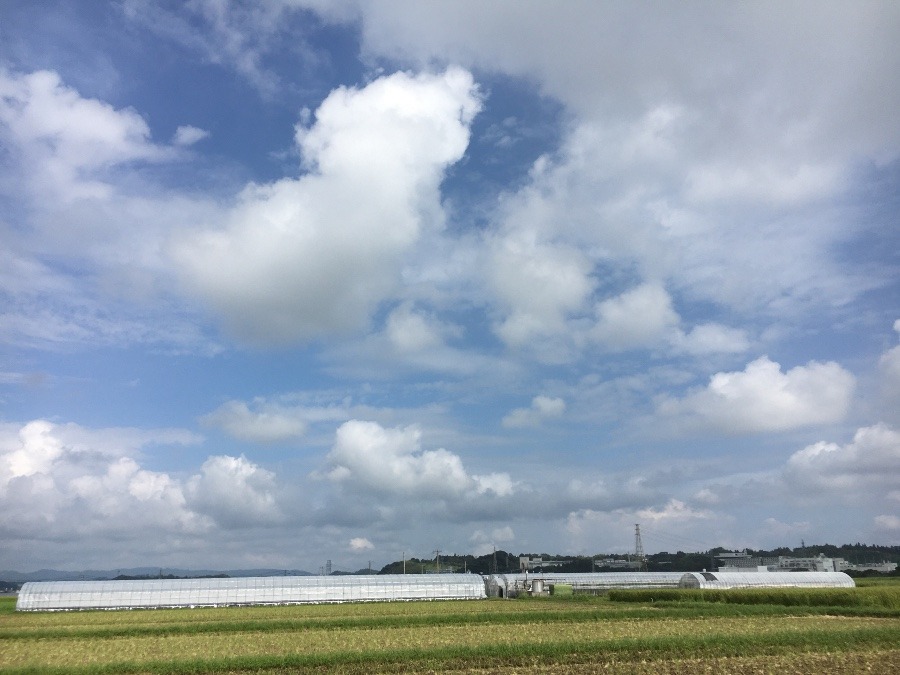 ⭕️空部→ 今日の空（≧∇≦）‼️754.