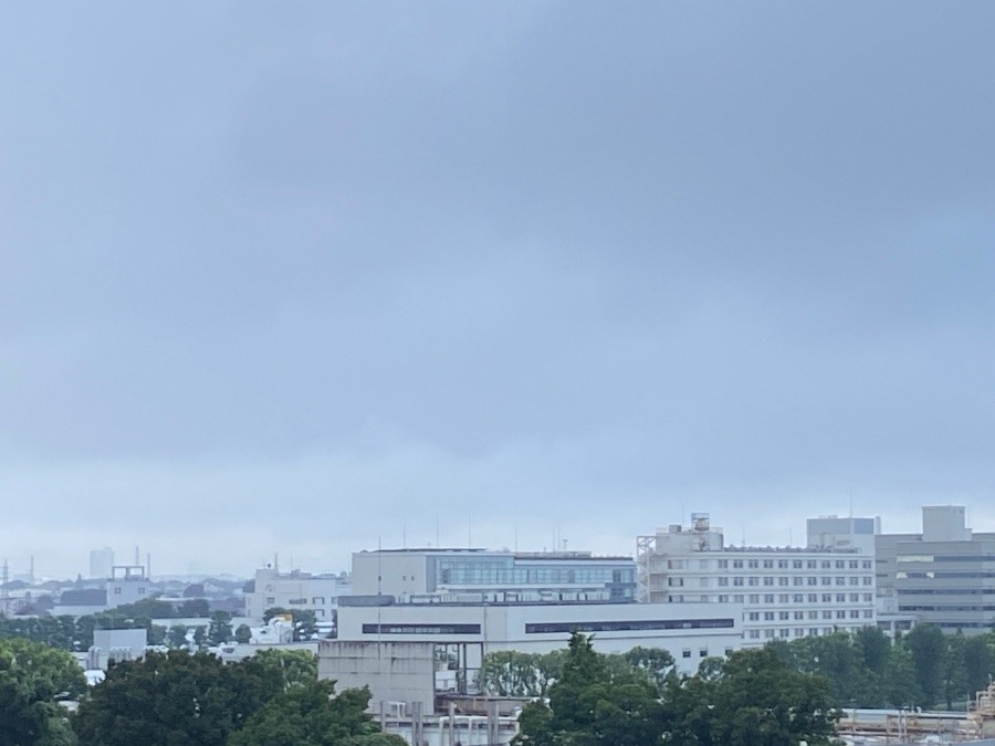 今朝の富士山