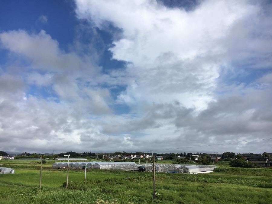 ⭕️空部→ 今日の空（≧∇≦）‼️787.