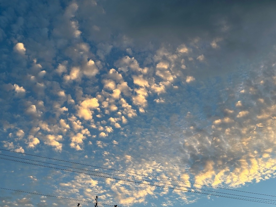 久々の空部☁️