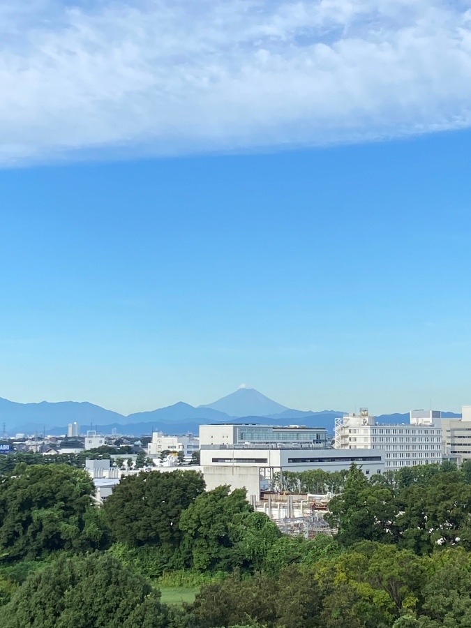 今朝の富士山